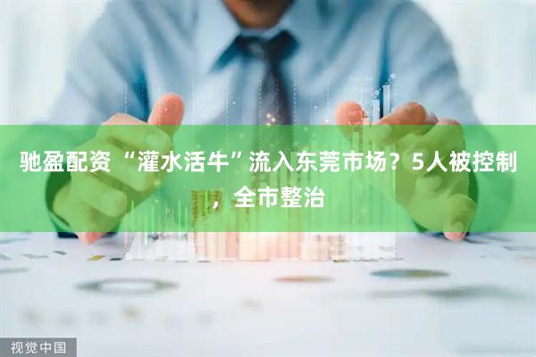 驰盈配资 “灌水活牛”流入东莞市场？5人被控制，全市整治