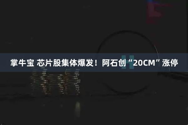 掌牛宝 芯片股集体爆发！阿石创“20CM”涨停
