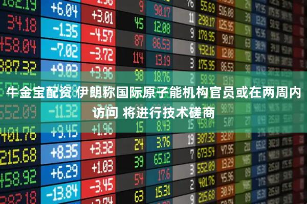 牛金宝配资 伊朗称国际原子能机构官员或在两周内访问 将进行技术磋商