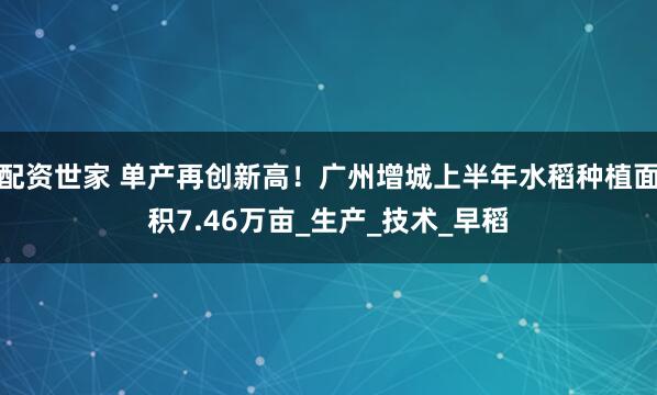 配资世家 单产再创新高！广州增城上半年水稻种植面积7.46万亩_生产_技术_早稻