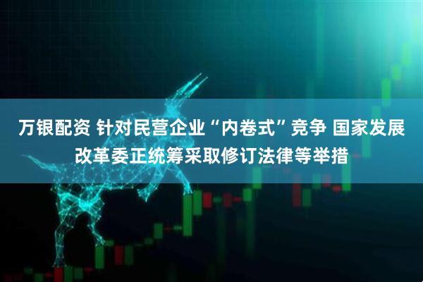 万银配资 针对民营企业“内卷式”竞争 国家发展改革委正统筹采取修订法律等举措