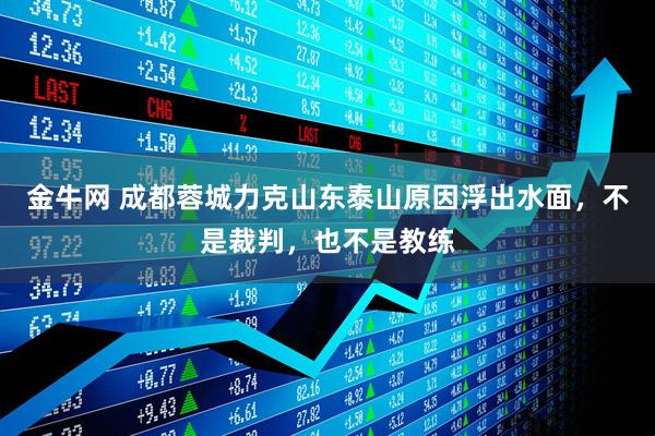 金牛网 成都蓉城力克山东泰山原因浮出水面，不是裁判，也不是教练