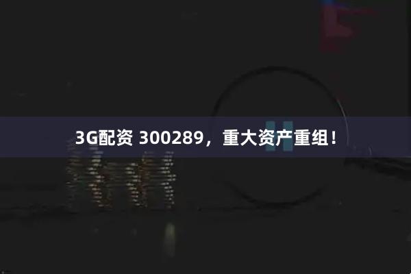 3G配资 300289，重大资产重组！