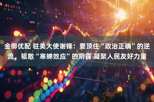 金御优配 驻美大使谢锋：要顶住“政治正确”的逆流，驱散“寒蝉效应”的阴霾 凝聚人民友好力量